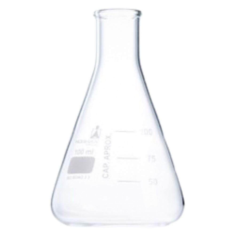 BALÃO ERLENMEYER BOCA ESTREITA 250ML